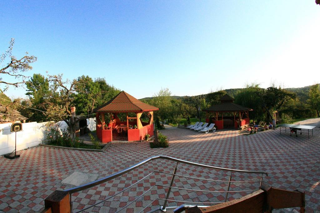 Guest house Pensiunea Soreanca