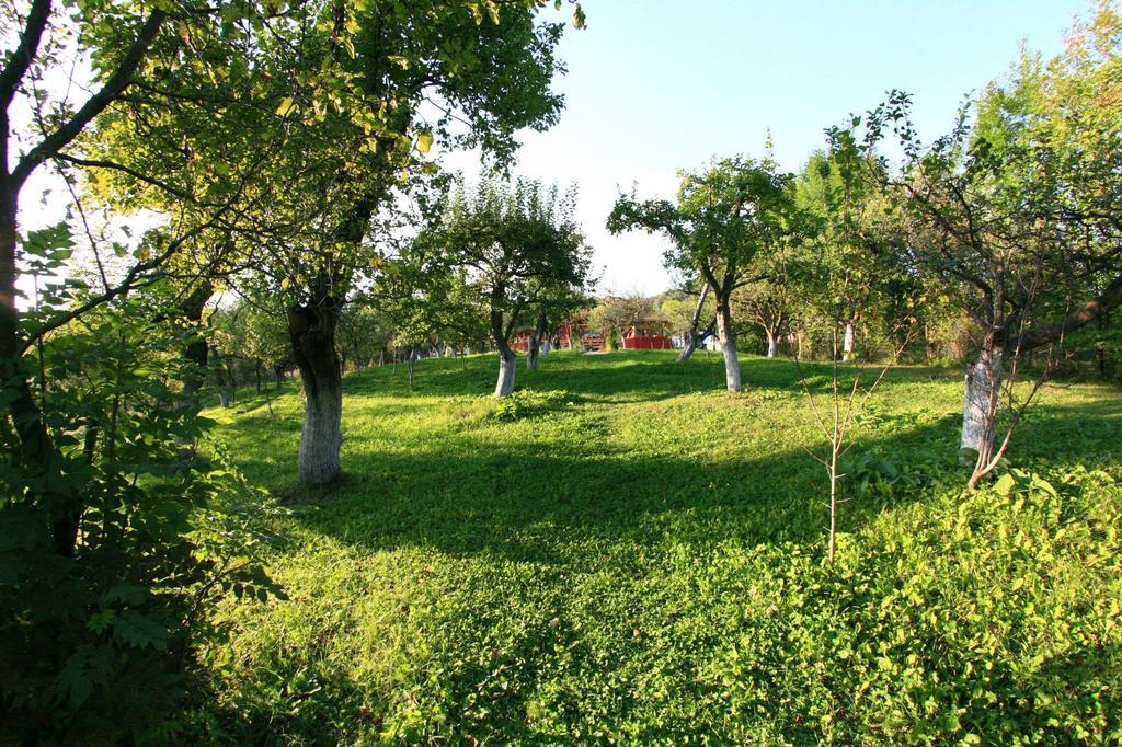 Guest house Pensiunea Soreanca 4*